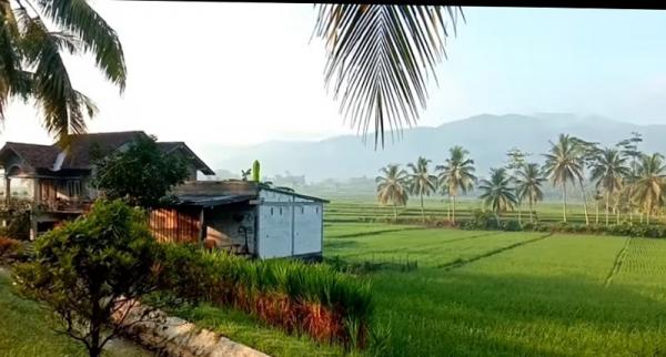 Desa Kemranggon 1