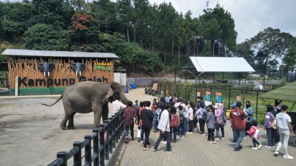 Pengunjung di Lembang Park Zoo, KBB. (Foto/Dok.MPI)