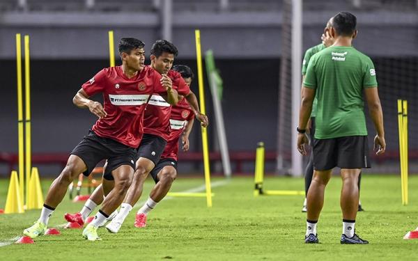 Ant Timnas Indonesia 8