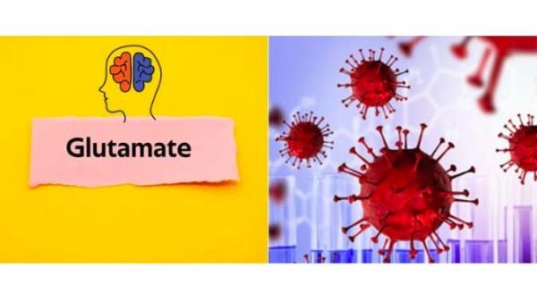Glutamat Dan Glutamin Peran penting Glutamat dan Glutamin untuk tubuh. (Foto: istimewa)