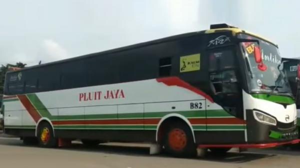 Bus Pluit Jaya