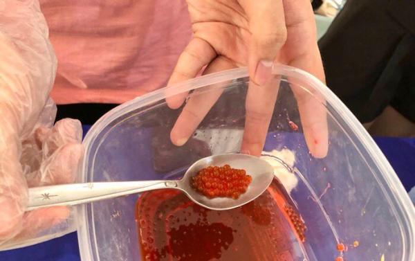 Boba dari rempah Indonesia Boba dari rempah Indonesia