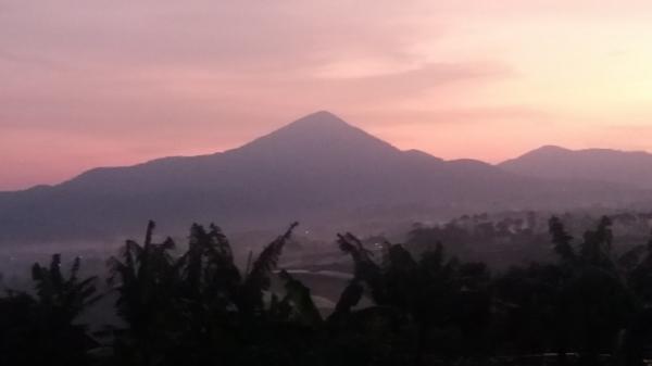 Gunung Bukit Tunggul Gunung Bukit Tunggul, Lembang, KBB. (FOTO: ISTIMEWA)