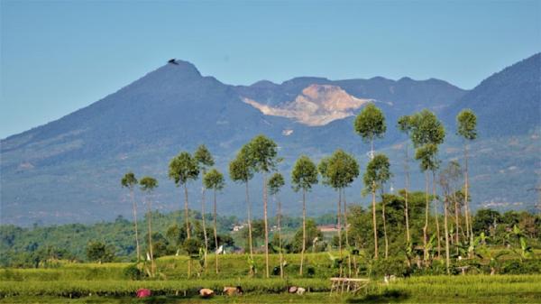 Gunung Kamojang di Kabupaten Garut berbatasan dengan Bandung. (FOTO: ISTIMEWA)
