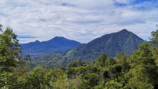 GUNUNG TAMBAKRUYUNG Gunung Tambangruyung di Kecamatan Ciwidey, Kabupaten Bandung. (FOTO: ISTIMEWA)