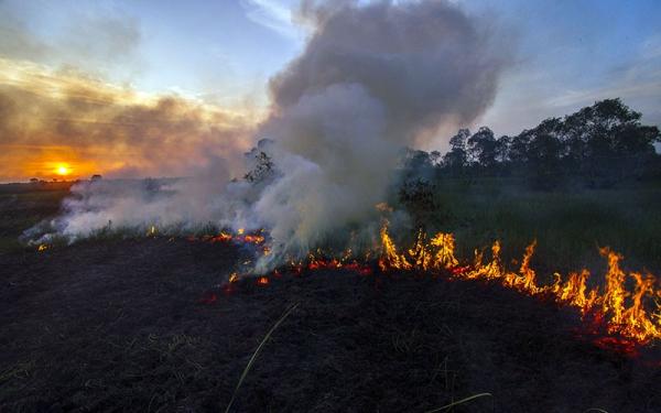 Cegah Karhutla yang Terus Terjadi, Komisi IV DPR: Perlu Ada Pendekatan Kearifan Lokal