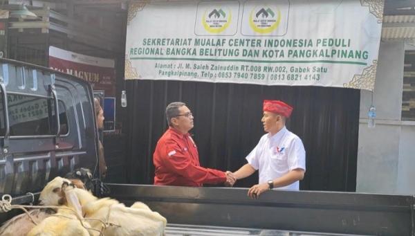 Kurban Partai Perindo Babel 2 Mualaf Center Indonesia Peduli Bangka Belitung menerima hewan kurban dari DPW Partai Perindo Babel. (Foto: Haryanto)
