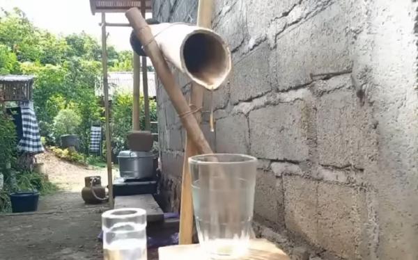 Proses Pembuatan Arak Bali Proses pembuatan Arak Bali. (Foto: YouTube Tuak Bali)
