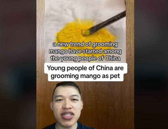 Tiktok Biji Mangga Viral tren memelihara biji mangga di China (Foto: ist)