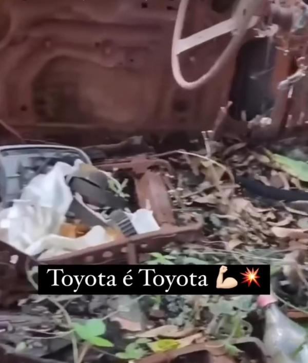Mobil Ditumbuhi Rumput 2
