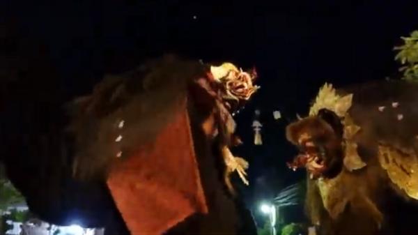 Pemuda di Tabanan Gelar Acara Mepetuk Barong Pemuda di Tabanan Gelar Acara Mepetuk Barong Bangkal sebelum Hari Raya Kuningan (Foto: iNews/I Wayan Diana Putra)