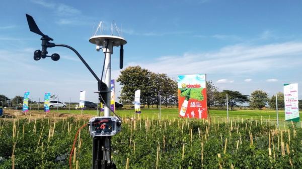 Mengintip Pusat Penelitian Pertanian Terbesar 2 Mengintip Pusat Penelitian Pertanian Terbesar Kedua se-Asia Tenggara di Bayer JUARA, Klaten, Jateng (Foto: iNews/Nani Suherni)