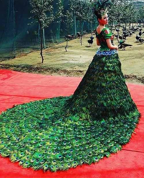 Peacock Wedding Dress 1 5 Million Peacock Wedding Dress