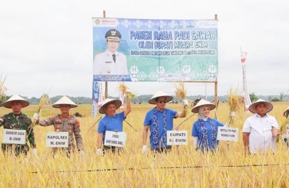 Pj Bupati Muara Enim panen raya PJ Bupati Muara Enim saat panen raya. (Foto: dok Instagram @humaspimpinan_muaraenim)