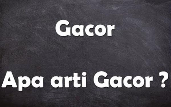 Arti Kata Gacor yang Jadi Bahasa Gaul Kekinian, Ternyata Beragam Maknanya! 