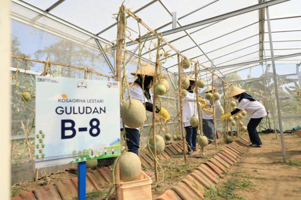 BRI Kembangkan Urban Farming di Lahan Sempit lewat BRInita