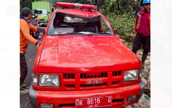Mobil bpbd Mobil BPBD tertimpa pohon tumbang di di hutan kota Jalan Denpasar-Gilimanuk, Tabanan, Bali, Rabu (13/9/2023). (Foto: BPBD Tabanan)