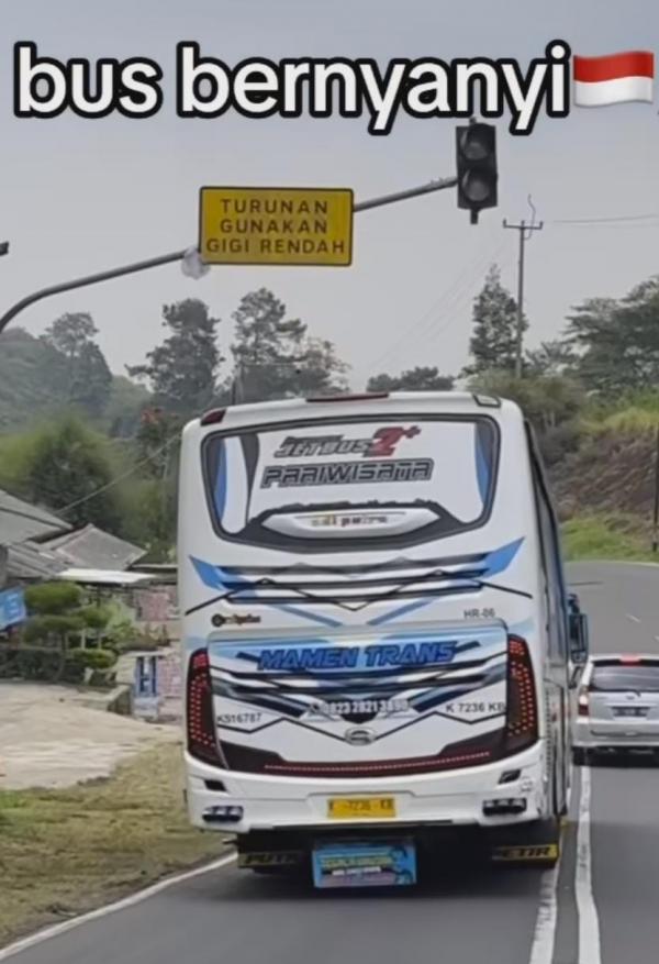 Bus