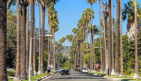 Jalan yang dikelilingi jajaran pohon palem menjadi salah satu ikon Baverly Hills, kawasan elit di Los Angeles. (Foto: Reuters)