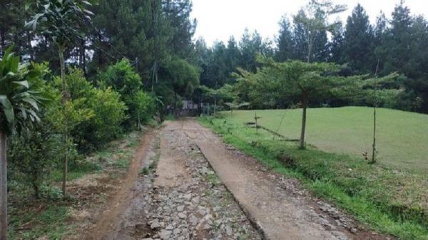Pancawati The Farm Pancawati.(Foto: Facebook/Firdaws Pancawati Organik Farm dan Villa)