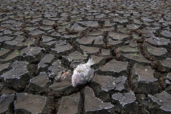 Ant Danau Cinere Kering 3 Thabariyah, Danau yang Disebut Rasul sebagai Tanda Kiamat
