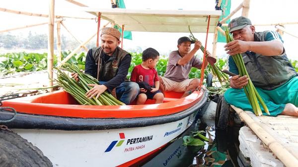 Warga bersama pengurus UMKM JRK memanen eceng gondok menggunakan Perahu Pertamina di Waduk Saguling, Dusun Cibodas, Desa Pangauban, Kecamatan Batujajar, KBB, Minggu (15/10/2023). (Foto: Arif Budianto)