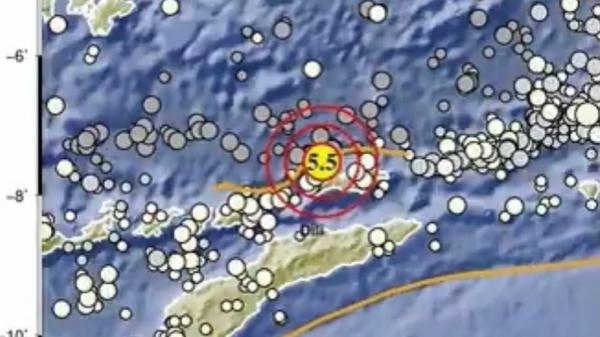 Gempa Terkini M 5,5 Guncang Alor NTT, Tidak Berpotensi Tsunami