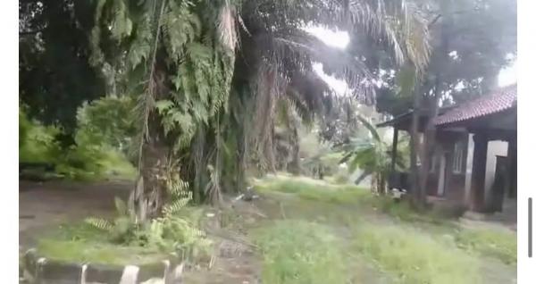IMG 20231112 WA0000 Kampung Artis yang Terbengkalai. (Foto: istimewa)