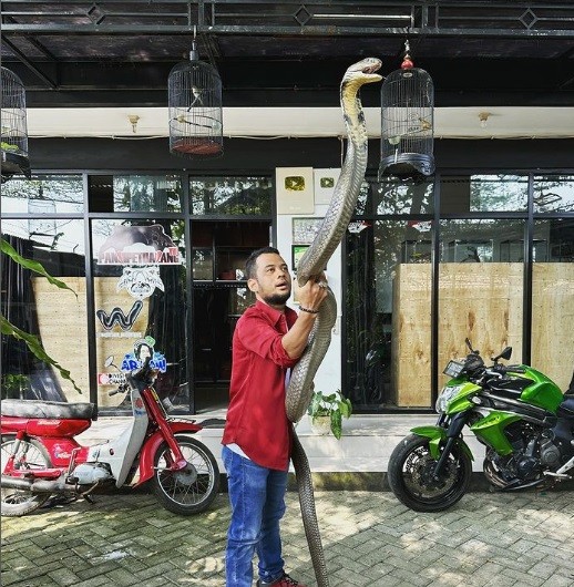 IMG 20231123 WA0001 Artis punya kebun binatang di rumahnya. (Foto: instagram)