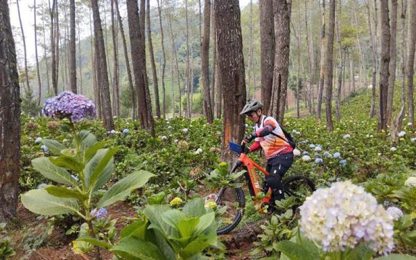 Peserta gowes melewati perkebunan bunga. (Foto: Dok JMTB)
