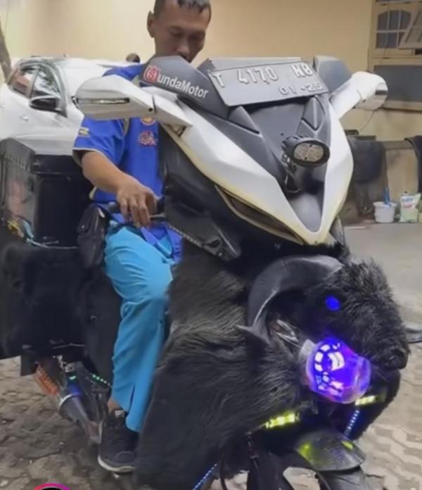 Modifikasi Motor Unik 1