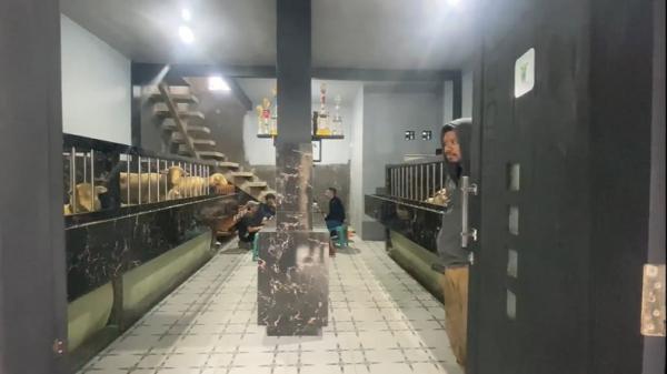 Domba kontes Rumah mewah seharga Rp500 juta di Banjarnegara, Jawa Tengah dihuni puluhan domba kontes. (Foto: Elis Novit).