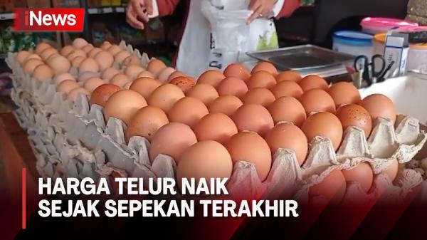 Harga Telur di Madiun, Jawa Timur Naik Sejak Sepekan Terakhir