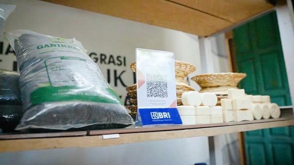 BRI Desa BRILian (Foto: dok BRI)