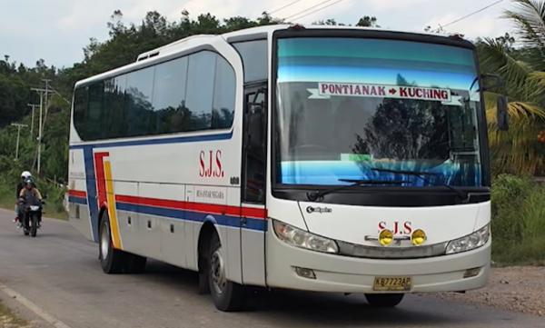 Bus SJS