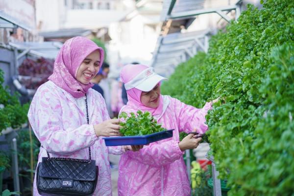 BRInita Urban Farming (Foto: dok BRI)