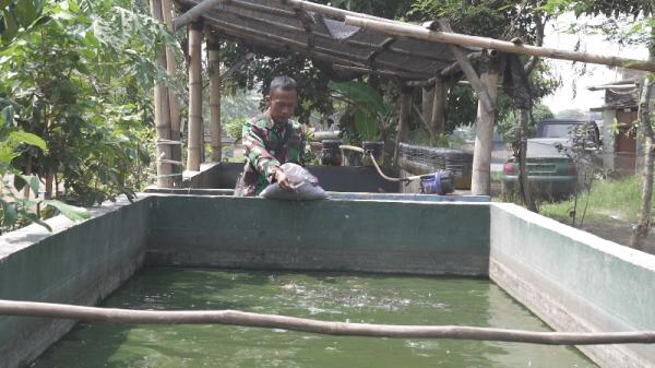 Budidaya ikan Satgas Citarum Harum Budidaya ikan yang juga sebagai indikator sungai. (Foto: dok Pemprov Jabar)