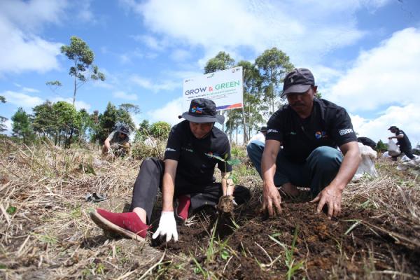Hari Lingkungan Hidup Sedunia, BRI Pulihkan Ekosistem dan Lawan Perubahan Iklim 