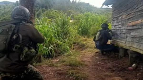 Breaking News: Kontak Tembak dengan OPM di KM 50 Area PT Freeport, 1 Prajurit TNI Gugur 1 Luka 