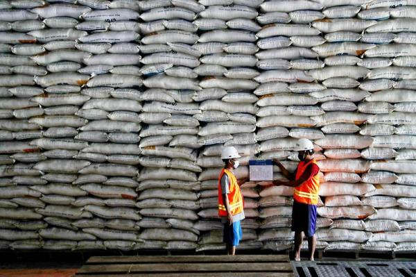 Bulog Serap 3 Juta Ton Beras hingga Juni 2026, Sudah 75% dari Target