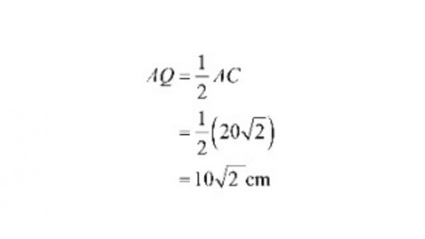 42 42