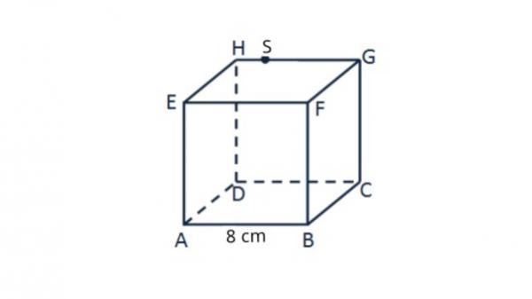 51 51