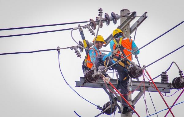 PLN Peresmian Pabrik Baterai Petugas PLN lakukan penguatan infrastruktur untuk melistriki KEK Kendal, sebagai wujud dukungan PLN kepada pemerintah dalam mendukung hilirisasi industri mineral dan pengembangan ekosistem kendaraan listrik. (Foto: dok PLN)