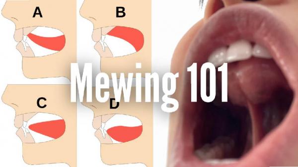 Cara mewing yang benar Cara mewing yang benar dan nyaman