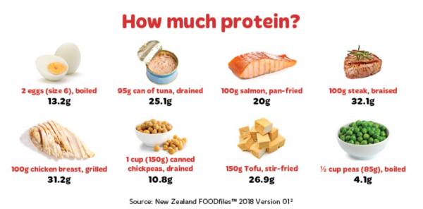 sumber protein sumber protein