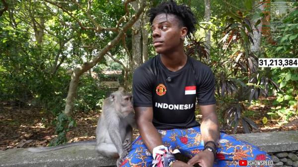 Speed bersama monyet Speed bersama monyet yang ada di Monkey Forest Bali. (Foto: Youtube)