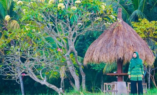 Sitti Rohmi Djalilah Calon Gubernur NTB Dr Hj Sitti Rohmi Djalilah mengajak masyarakat untuk kembali memperhatikan sektor pertanian agar NTB menjadi lumbung pangan nasional. (Foto: Ist)