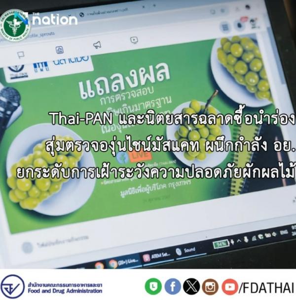 Informasi anggur shine muscat di Thailand Informasi anggur shine muscat