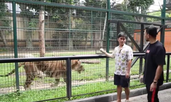 Alshad