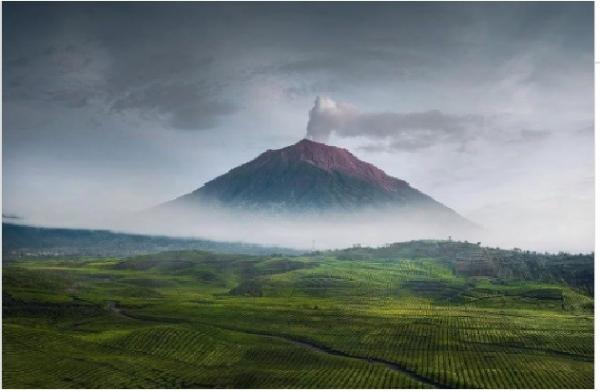 Meru Betiri